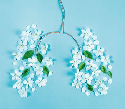 Flowers in the shape of lungs