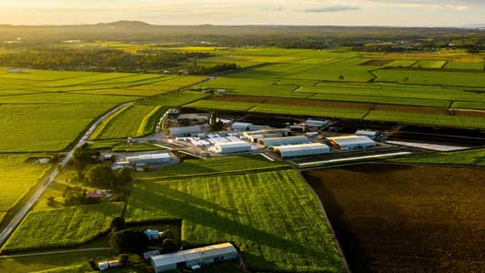 Queensland Crops 