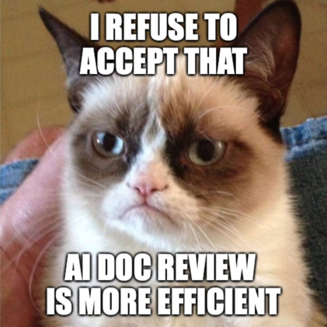 Cat meme with the caption 'I refuse to accept that AI doc review is more efficient'