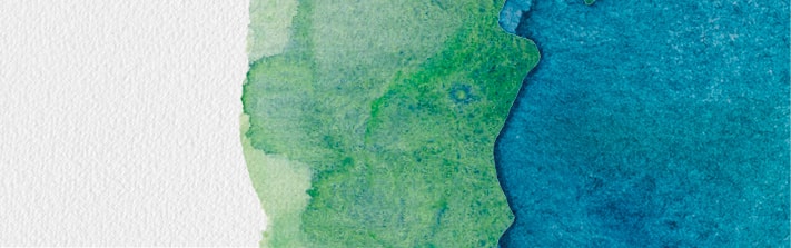 Pro Bono in Practice: Motivations, Stories, and Pathways